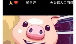 猪头博主爆料是谁啊视频,“是谁啊”视频背后的惊人真相