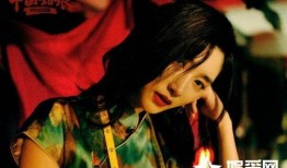 电影优雅姿态在线观看,探寻电影中的经典魅力